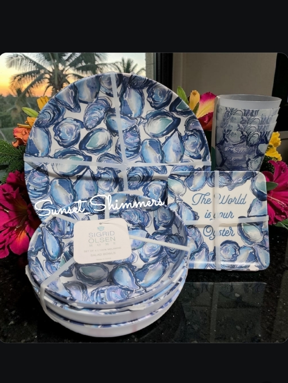 16pc Sigrid Olsen Melamine Oyster Dinner Pack ~ Plates Bowls Tumbler Cups New